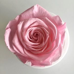 🌹Forever Rose from Ecuador